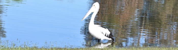Test2
